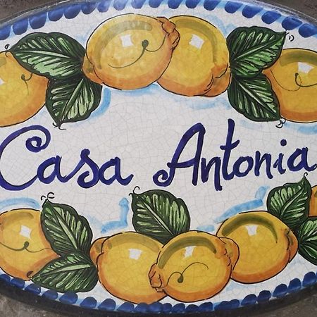 Casa Antonia Apartman Anacapri Kültér fotó