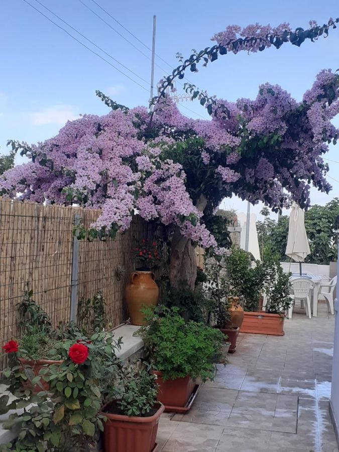 Casa Antonia Apartman Anacapri Kültér fotó