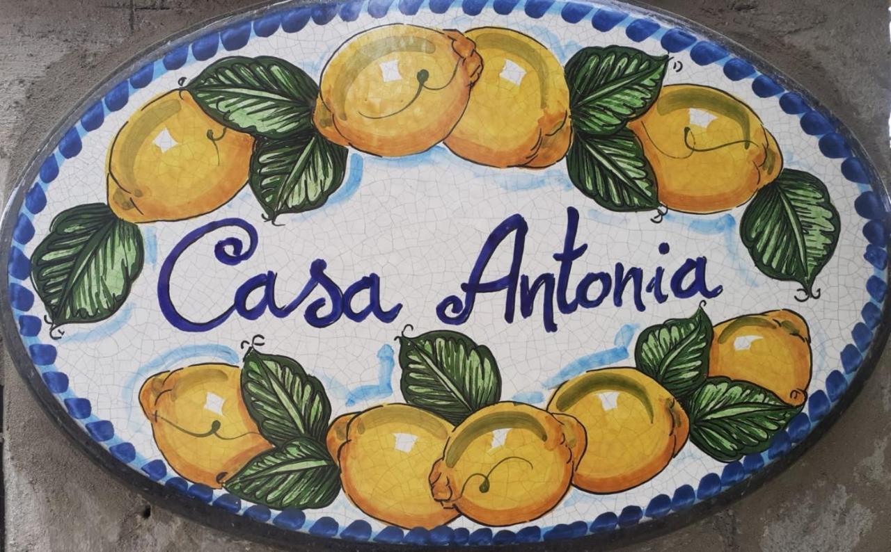 Casa Antonia Apartman Anacapri Kültér fotó